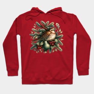 Partridge In A Pear Tree Hoodie